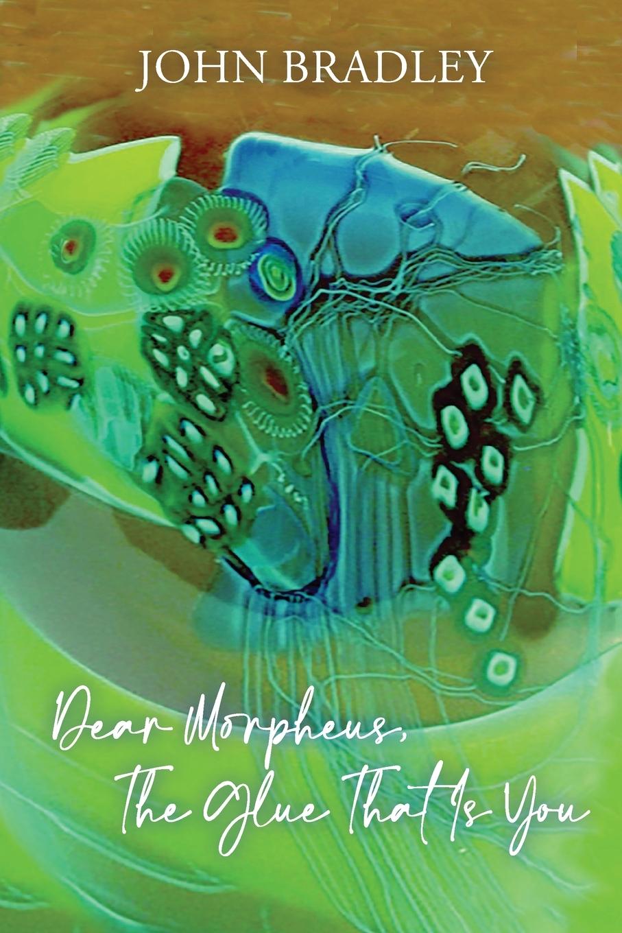 Vorderes Coverbild Dear Morpheus, The Glue That Is You