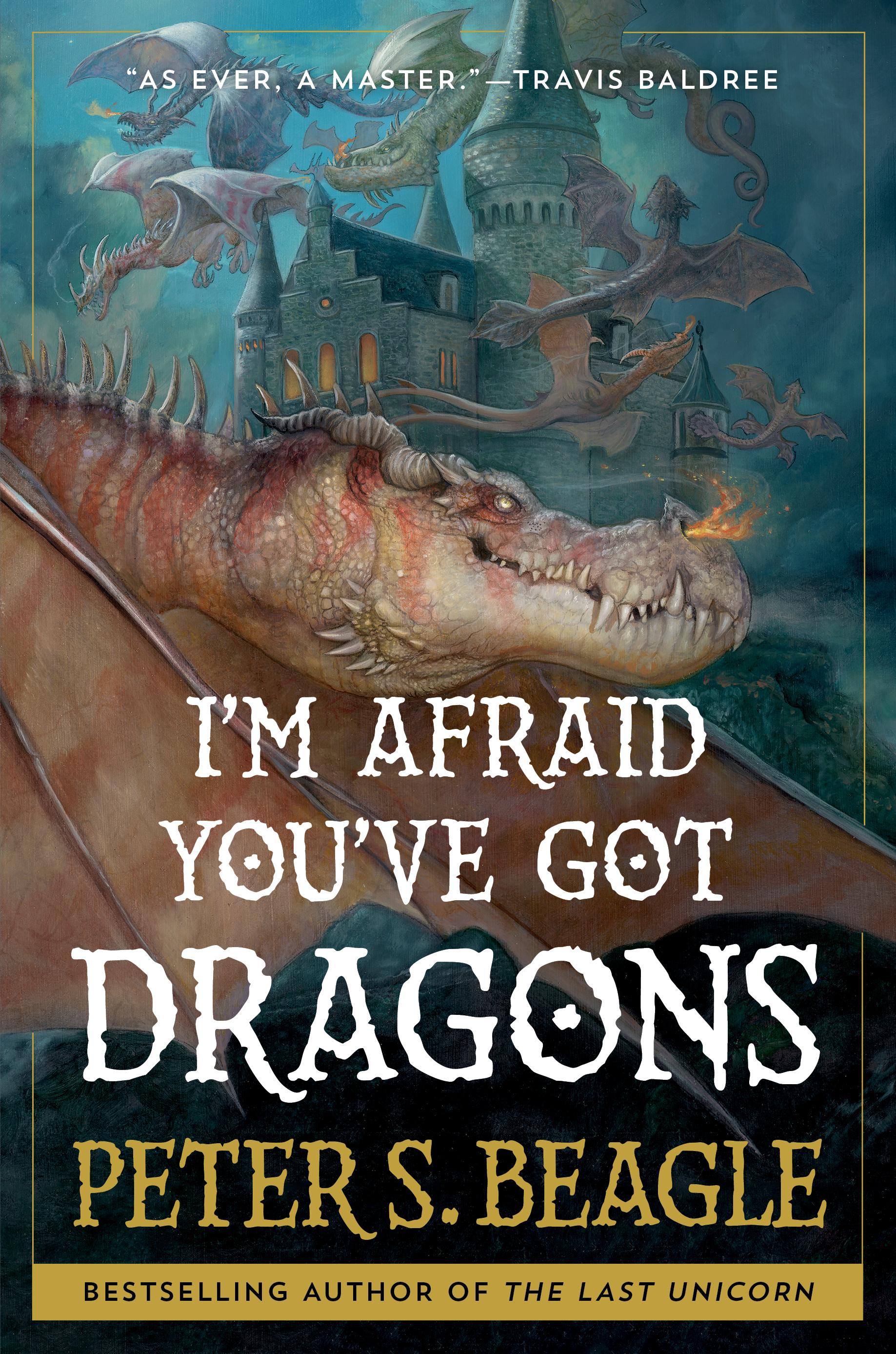 Vorderes Coverbild I'm Afraid You've Got Dragons