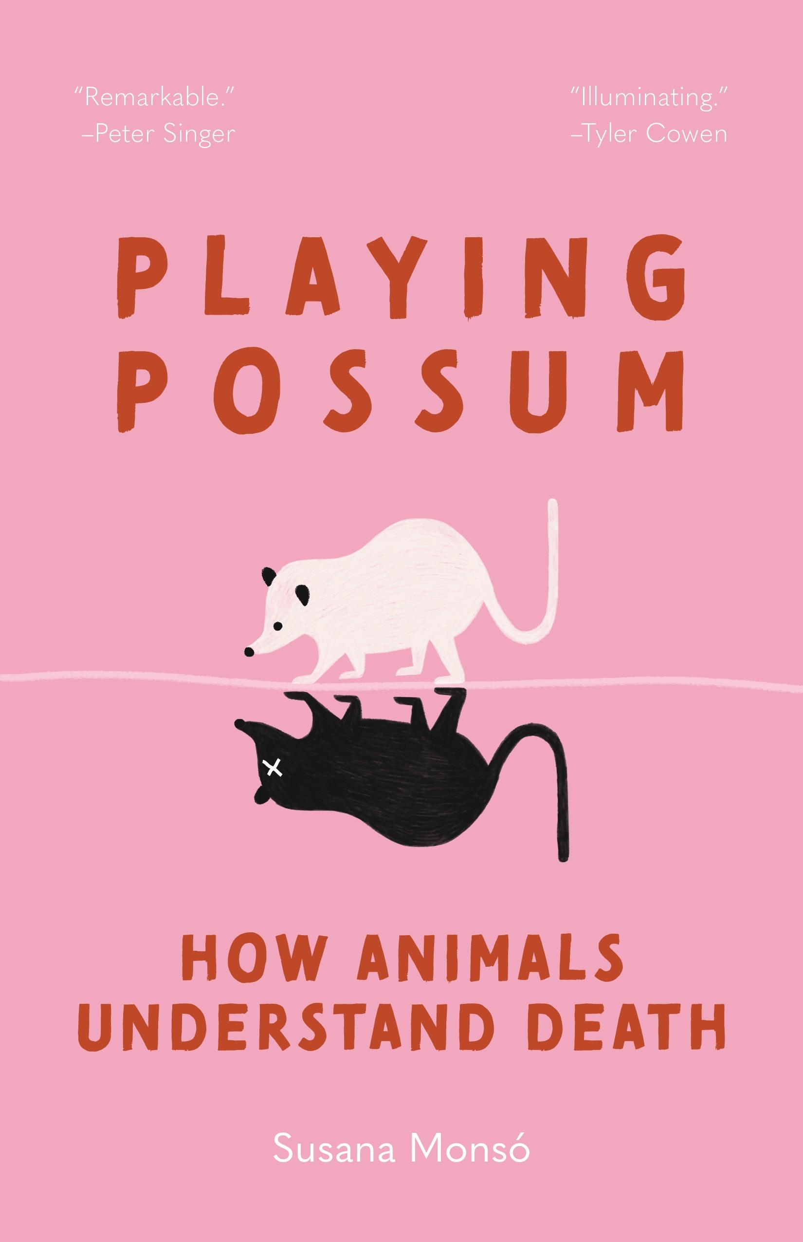 Vorderes Coverbild Playing Possum