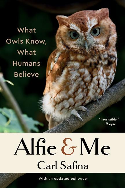 Vorderes Coverbild Alfie & Me