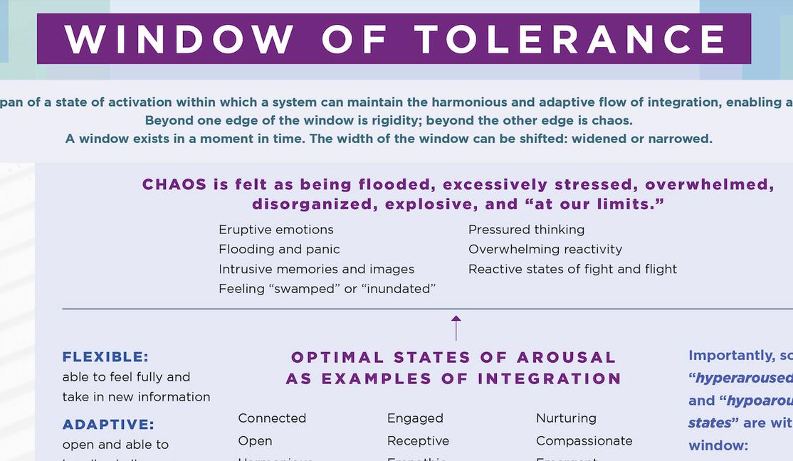 Vorderes Coverbild Window of Tolerance Laminated Card