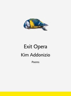 Vorderes Coverbild Exit Opera