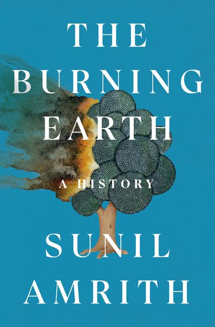 Vorderes Coverbild The Burning Earth