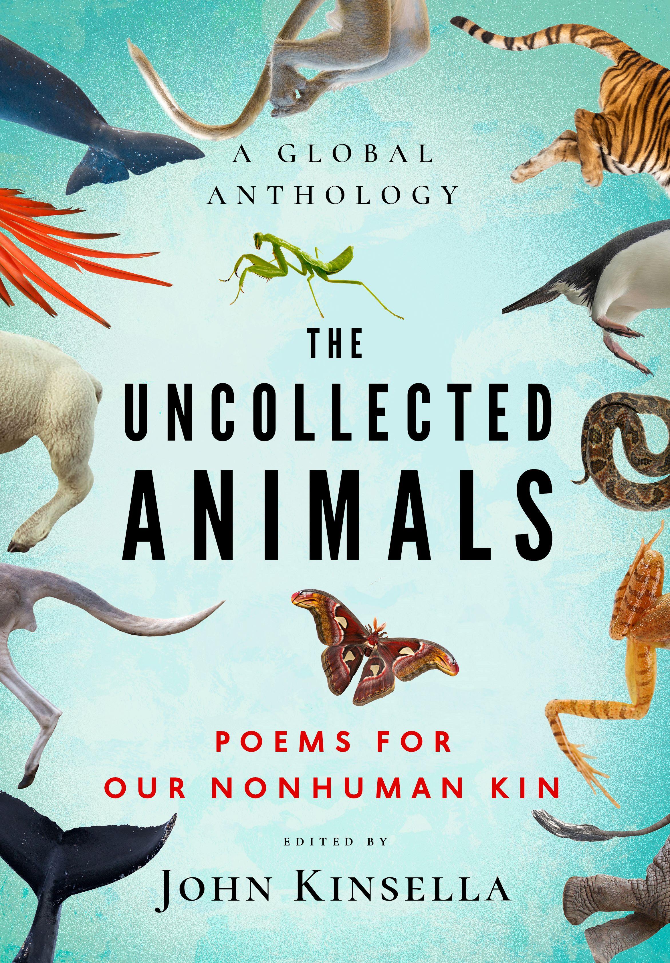 Vorderes Coverbild The Uncollected Animals