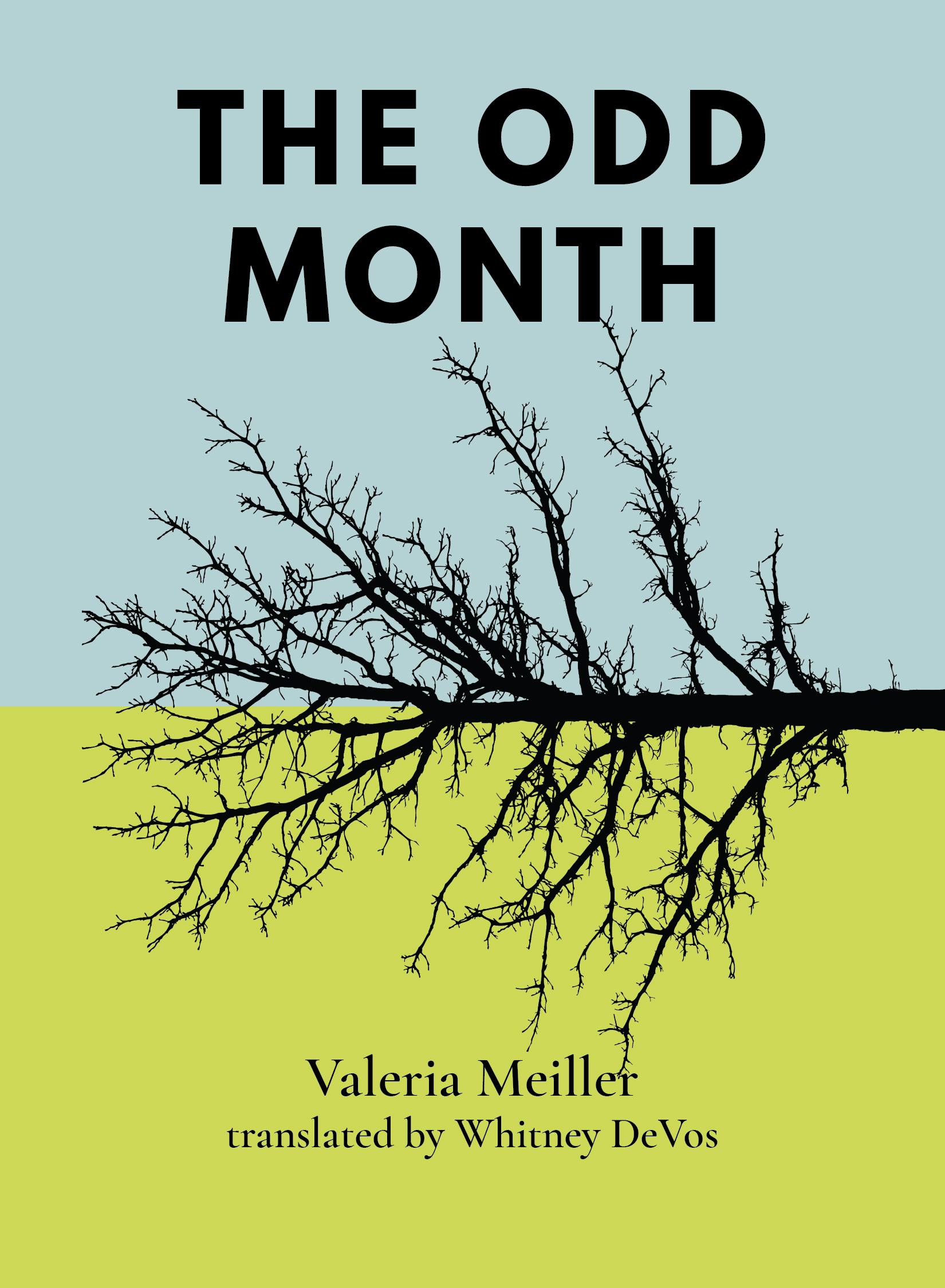 Vorderes Coverbild The Odd Month
