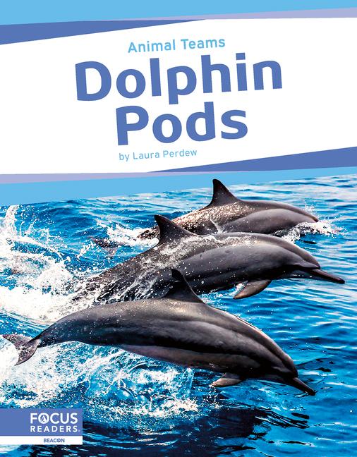 Vorderes Coverbild Dolphin Pods
