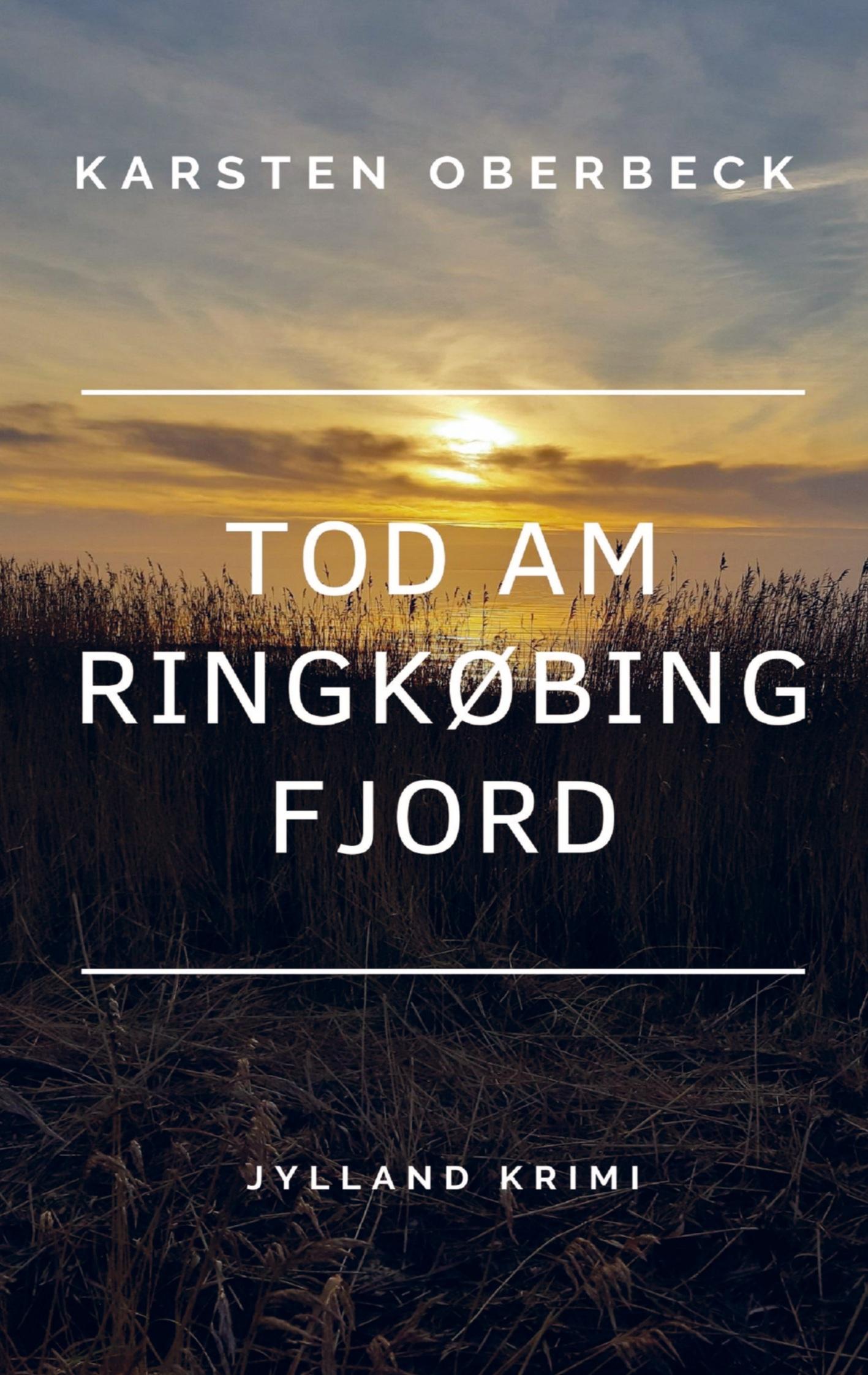 Vorderes Coverbild Tod am Ringkøbing Fjord