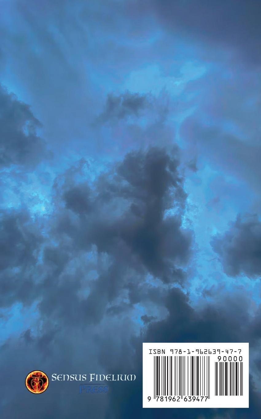 Rückseitencover VENIAL SIN