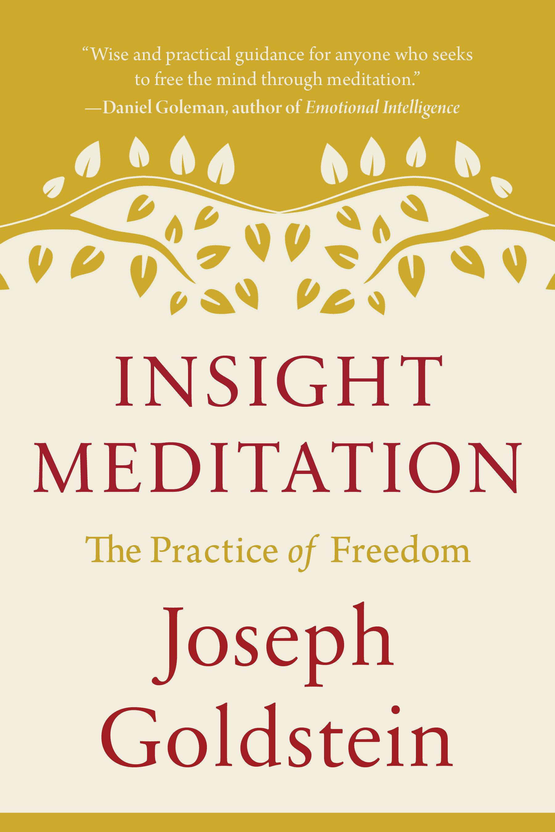 Vorderes Coverbild Insight Meditation