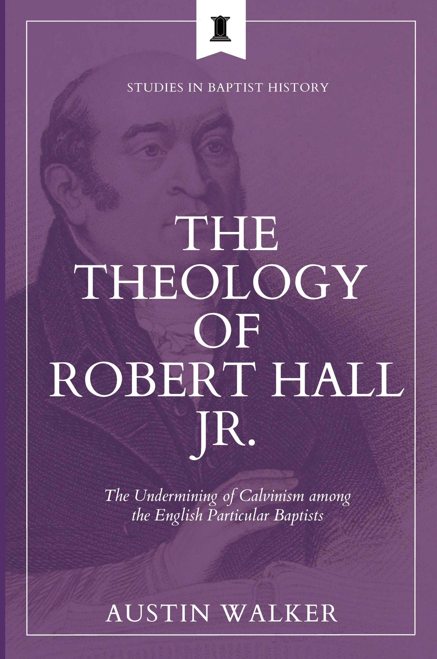 Vorderes Coverbild The Theology of Robert Hall Jr.