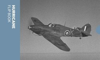 Vorderes Coverbild Hurricane Flip Book