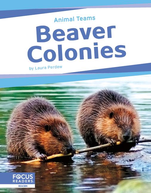 Vorderes Coverbild Beaver Colonies