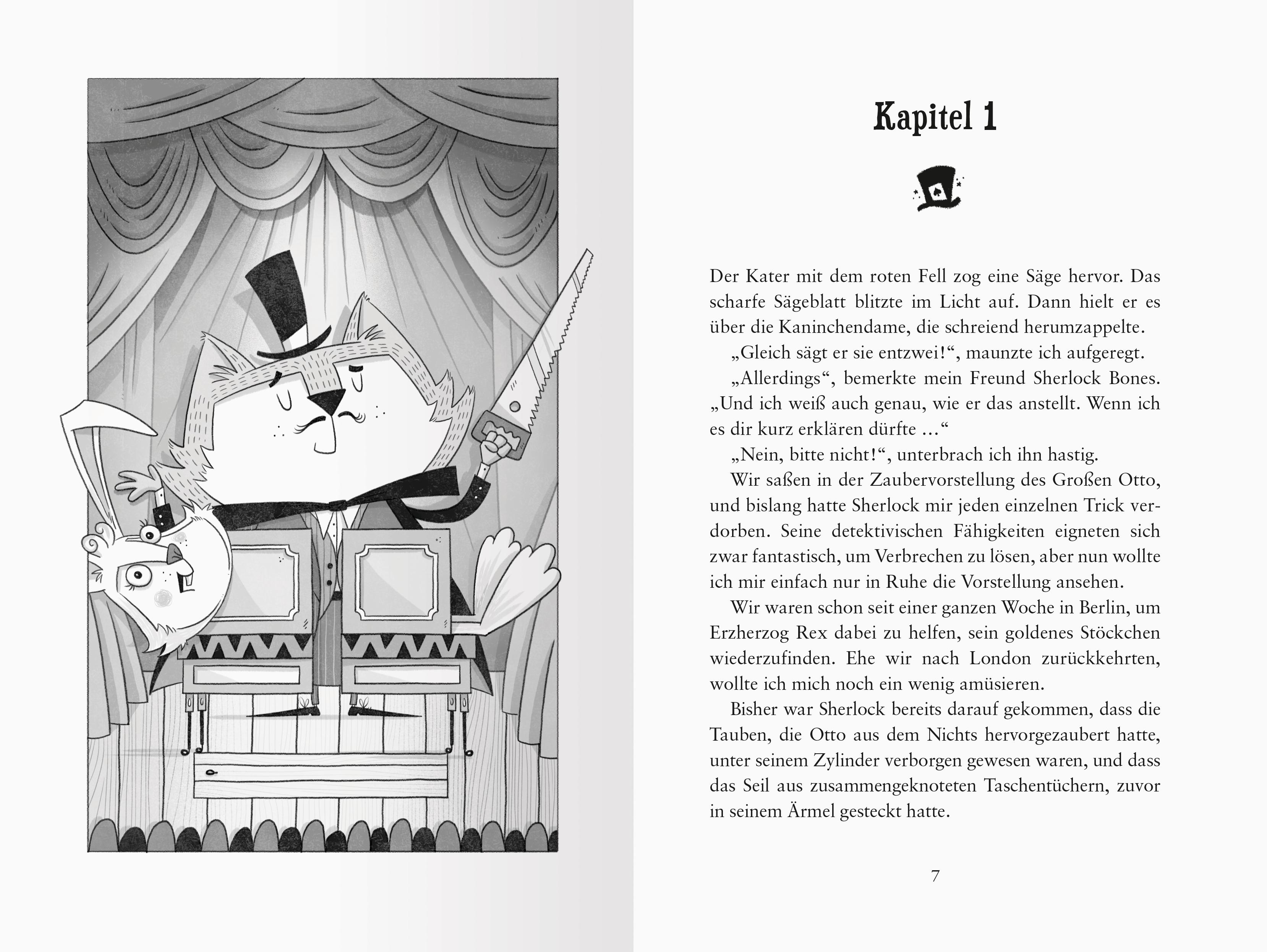 Beispielinhalt (Bild) Meisterdetektiv Sherlock Bones, Band 3 - Der verschwundene Zauberer