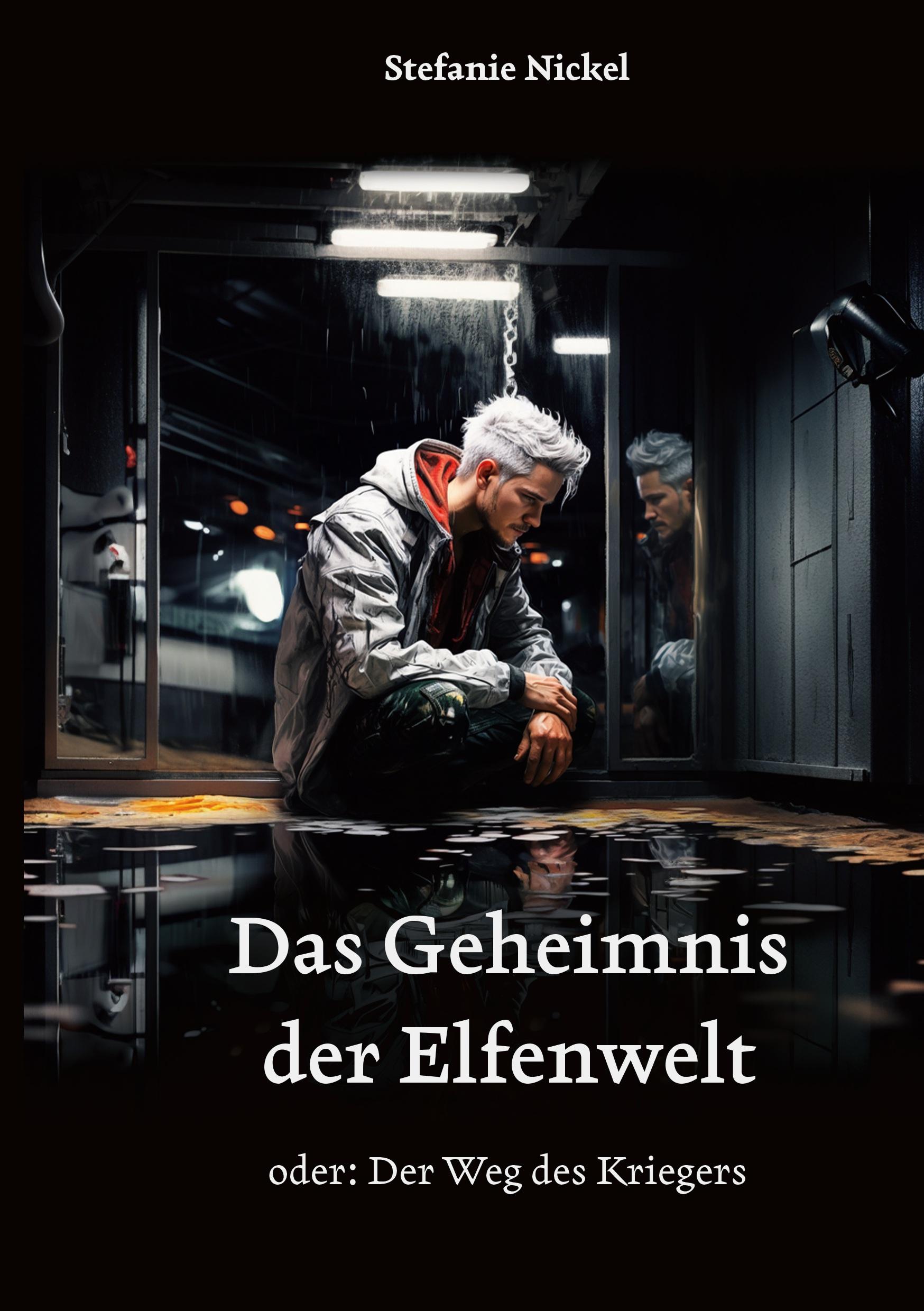 Vorderes Coverbild Das Geheimnis der Elfenwelt