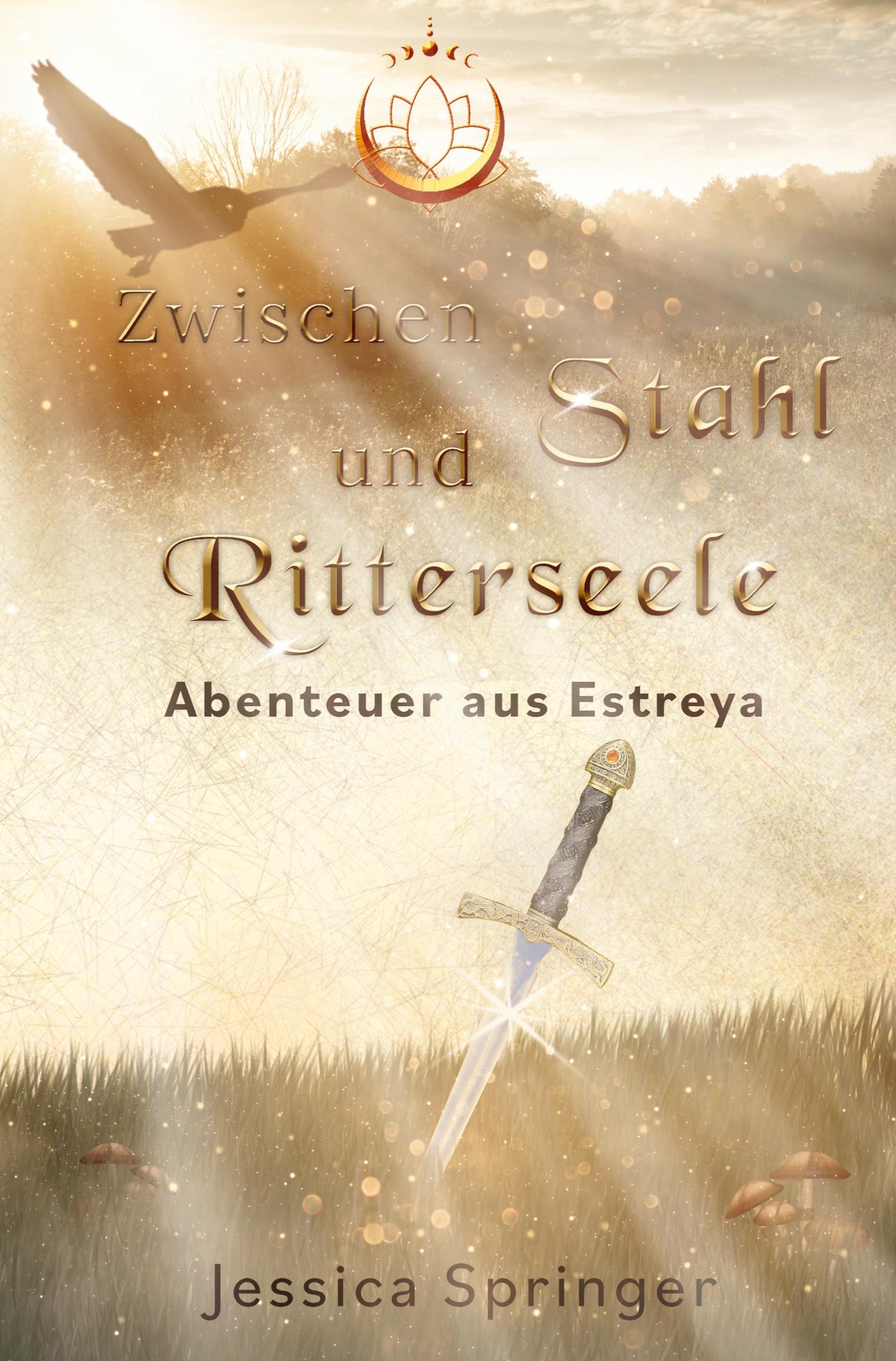 Vorderes Coverbild Zwischen Stahl und Ritterseele