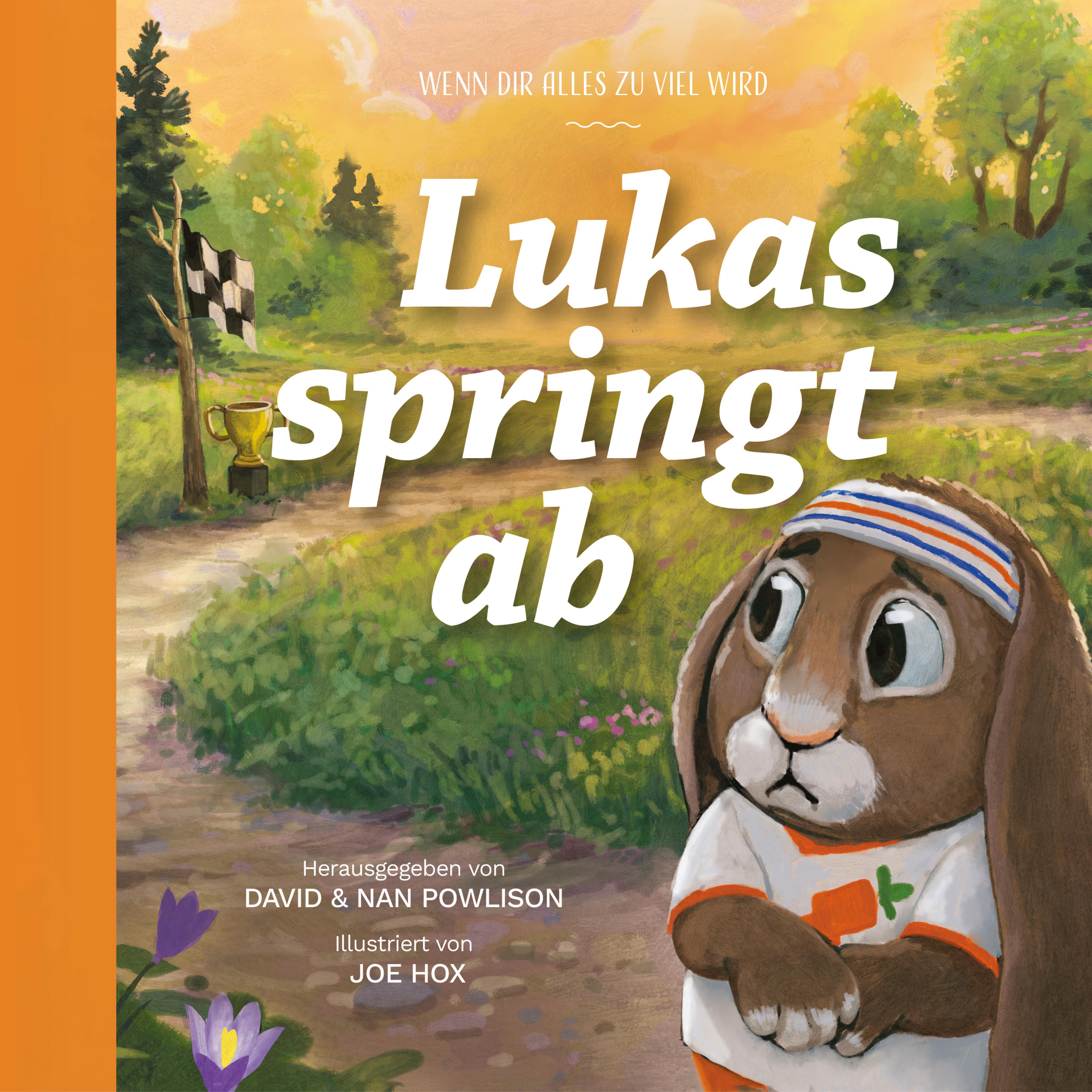 Vorderes Coverbild Lukas springt ab