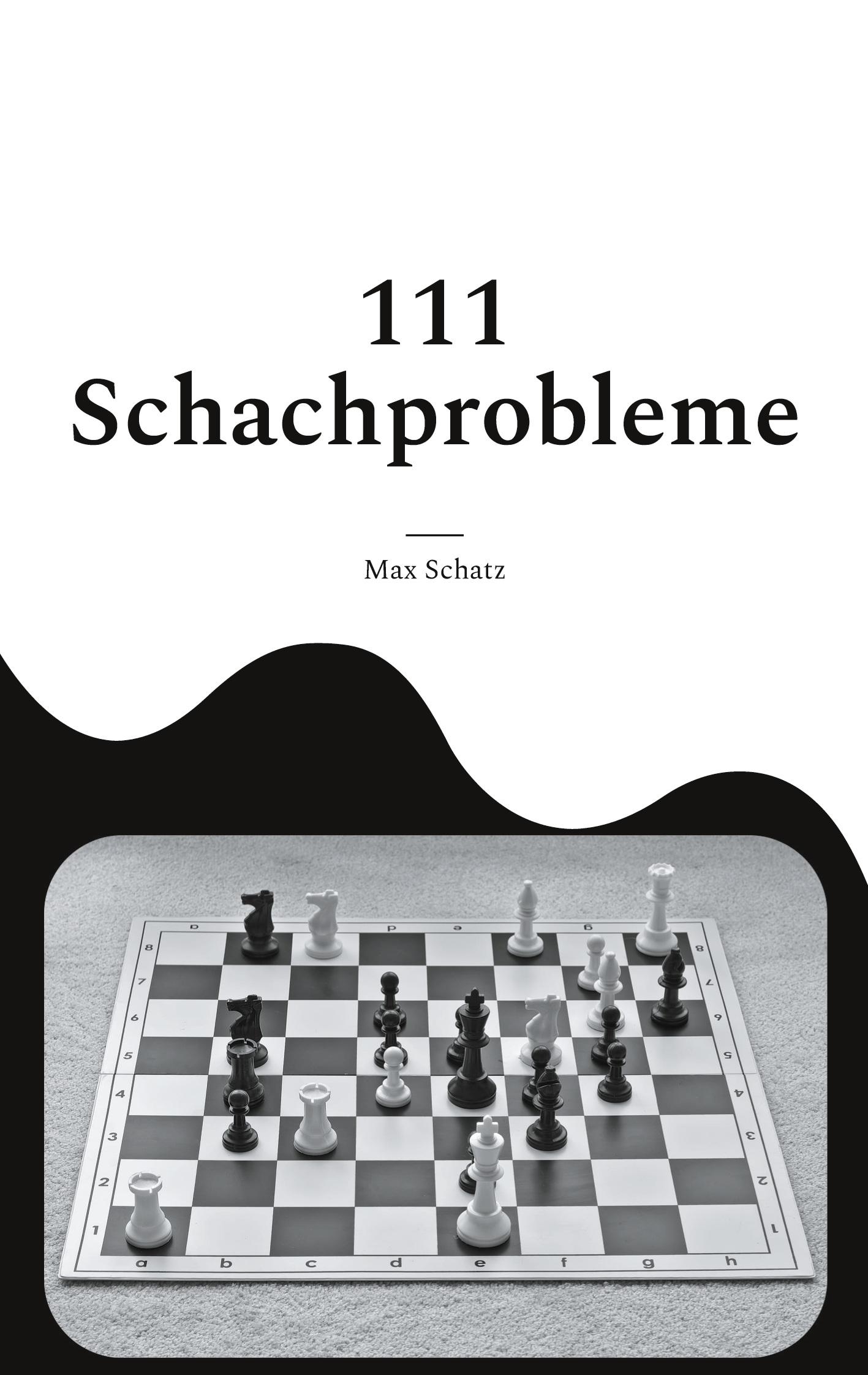 Vorderes Coverbild 111 Schachprobleme