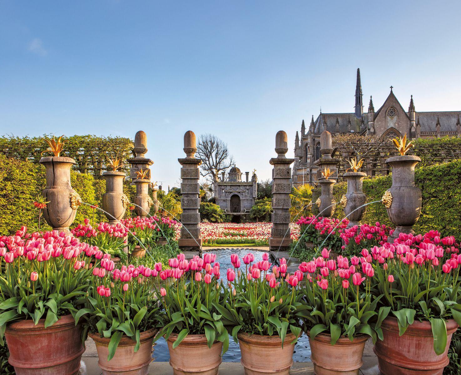 Beispielinhalt (Bild) Englische Gartenträume