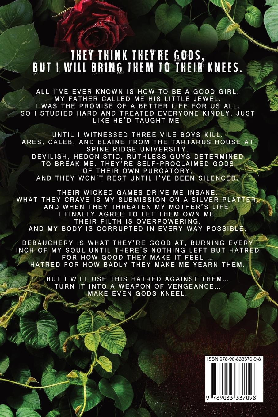 Rückseitencover Vile Boys