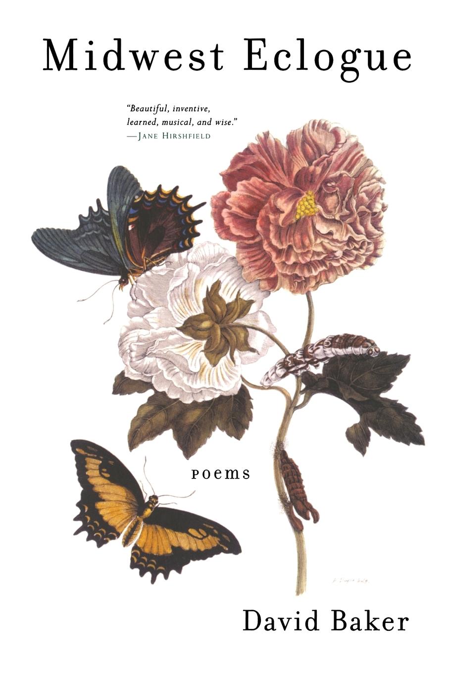 Vorderes Coverbild Midwest Eclogue