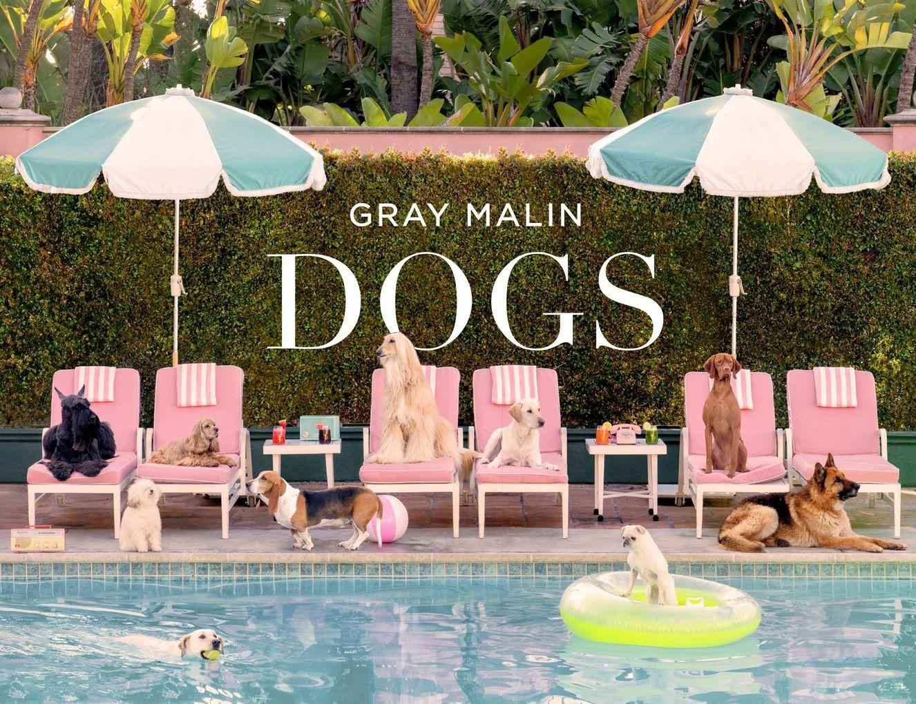 Vorderes Coverbild Gray Malin: Dogs