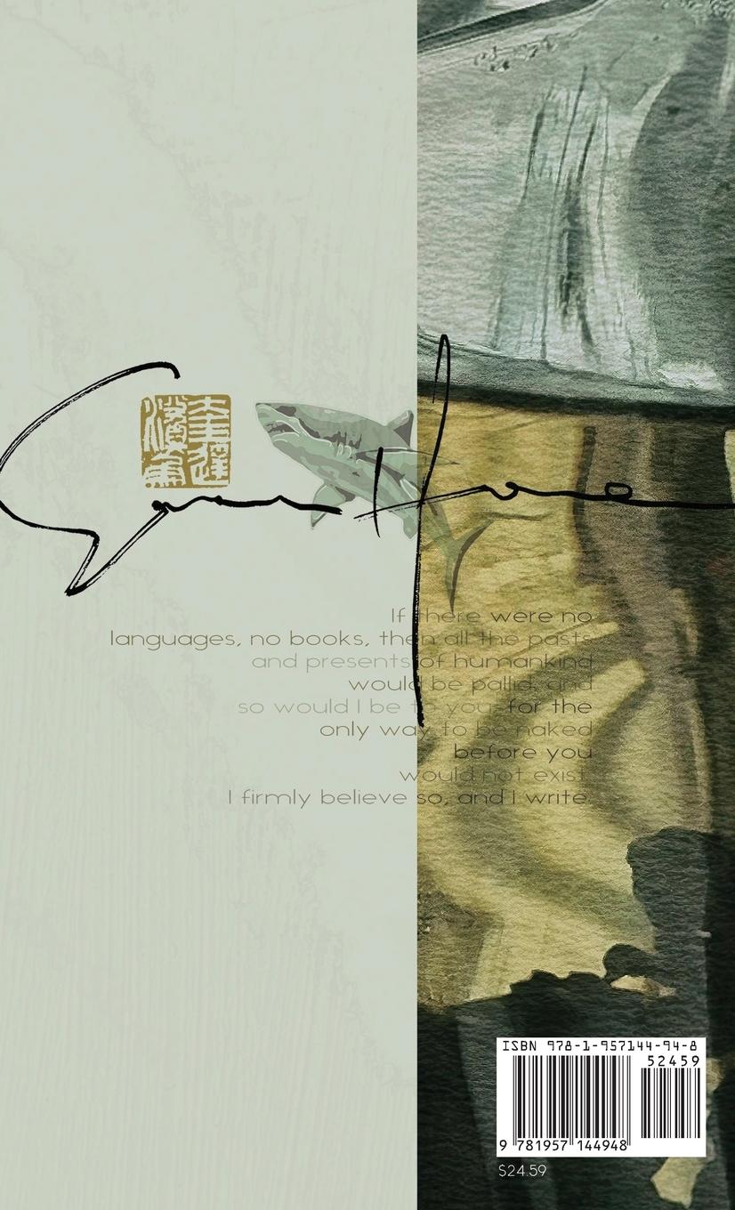 Rückseitencover THE SHARK IN QUETTA