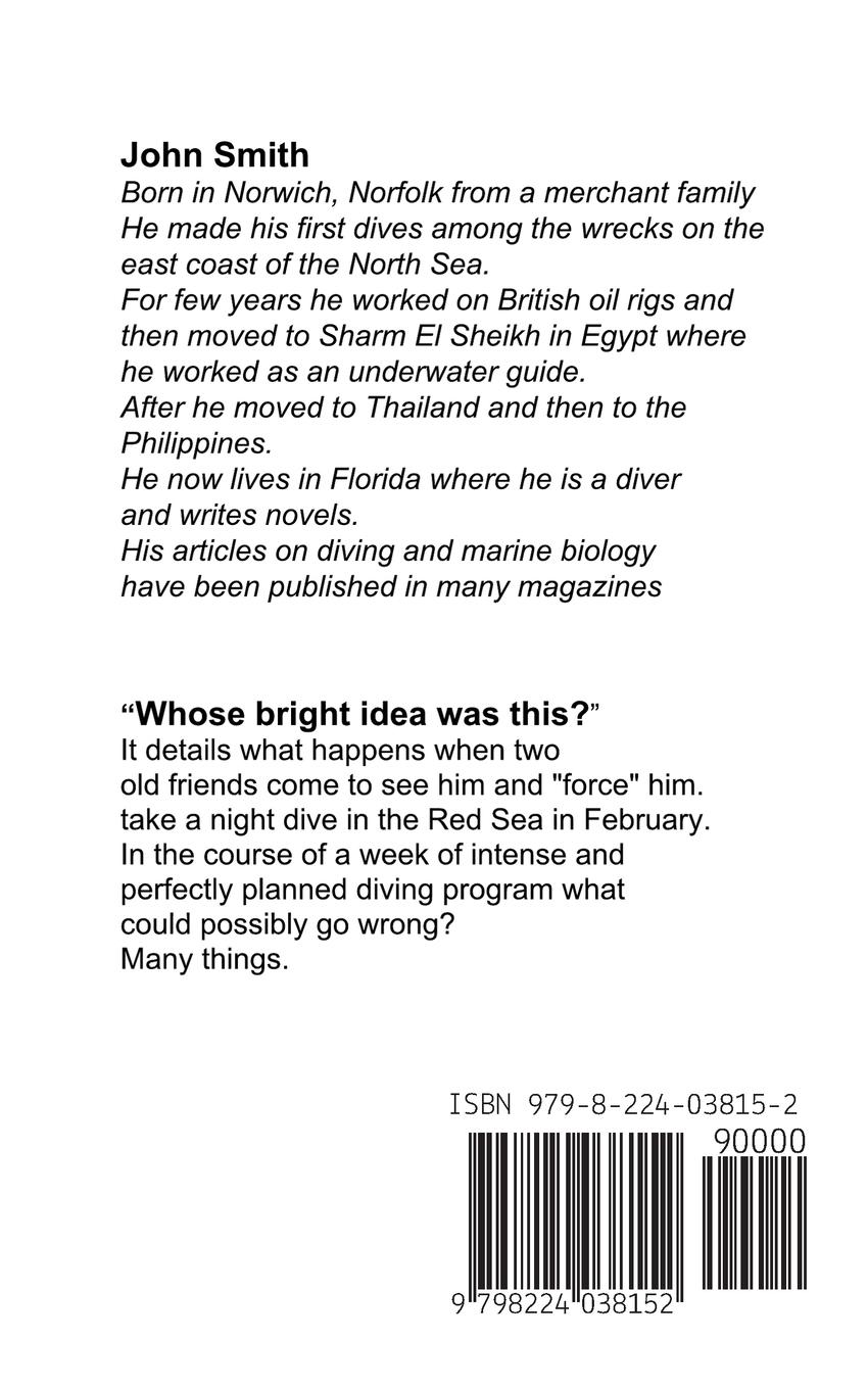 Rückseitencover Whose Bright Idea Was This