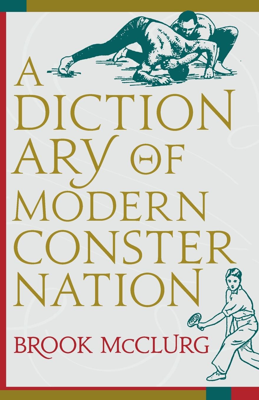 Vorderes Coverbild A Dictionary of Modern Consternation