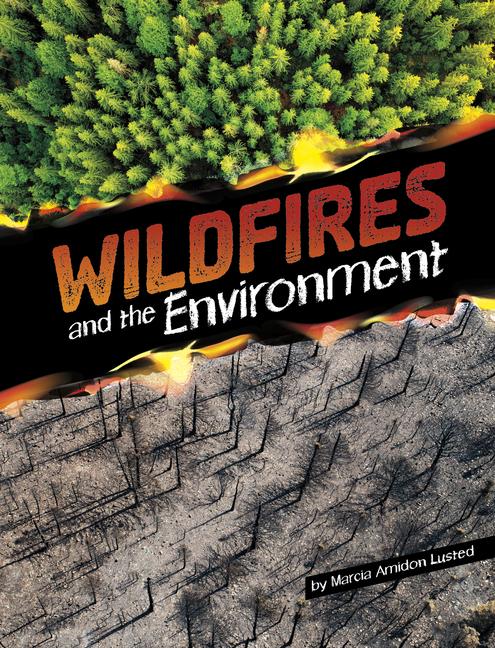 Vorderes Coverbild Wildfires and the Environment
