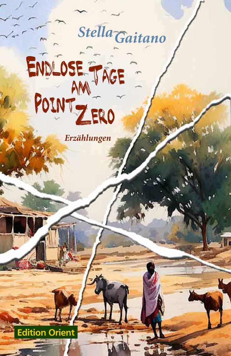 Vorderes Coverbild Endlose Tage am Point Zero