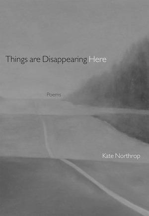 Vorderes Coverbild Things Are Disappearing Here: Poems