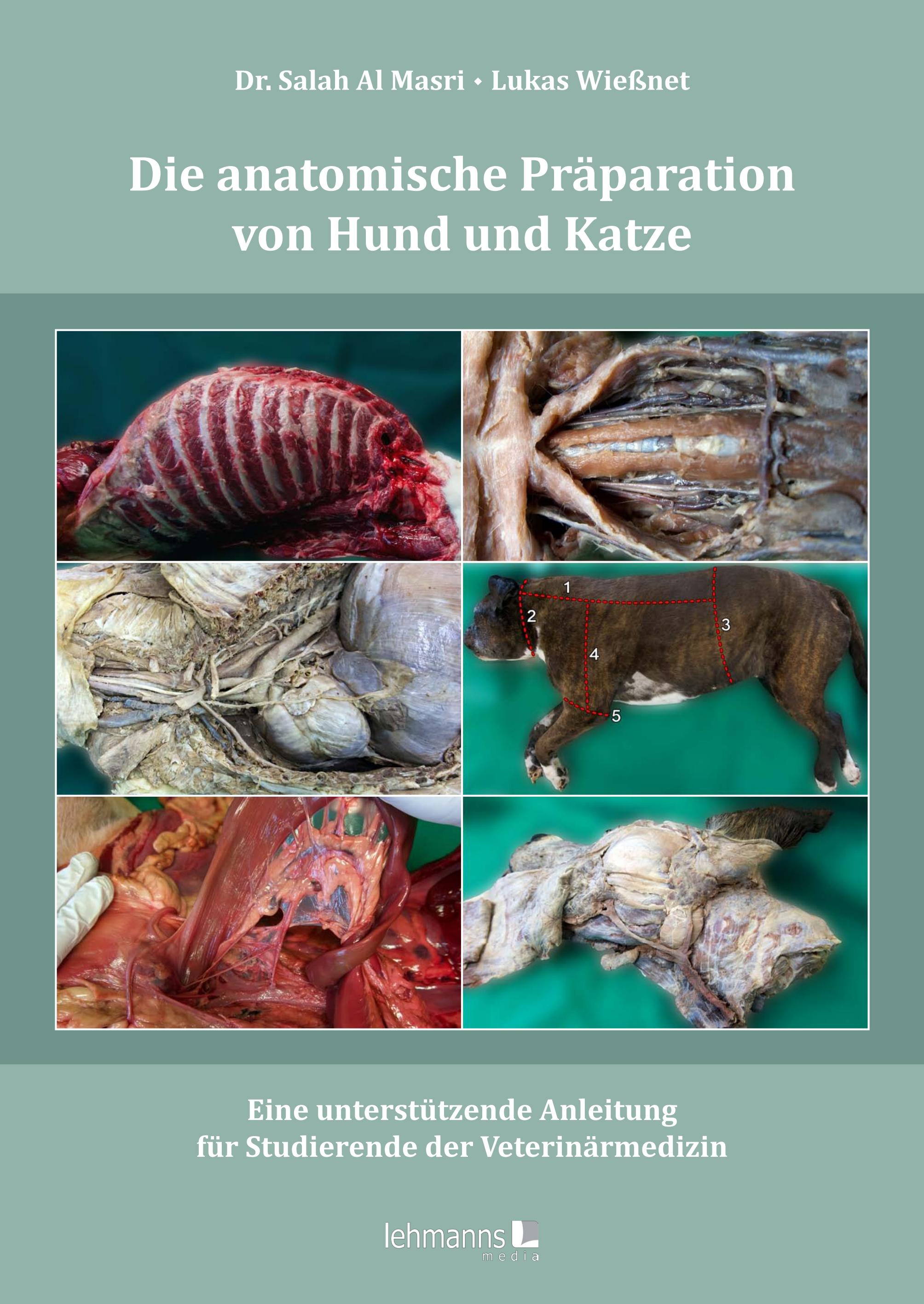 Vorderes Coverbild Die anatomische Präparation von Hund und Katze