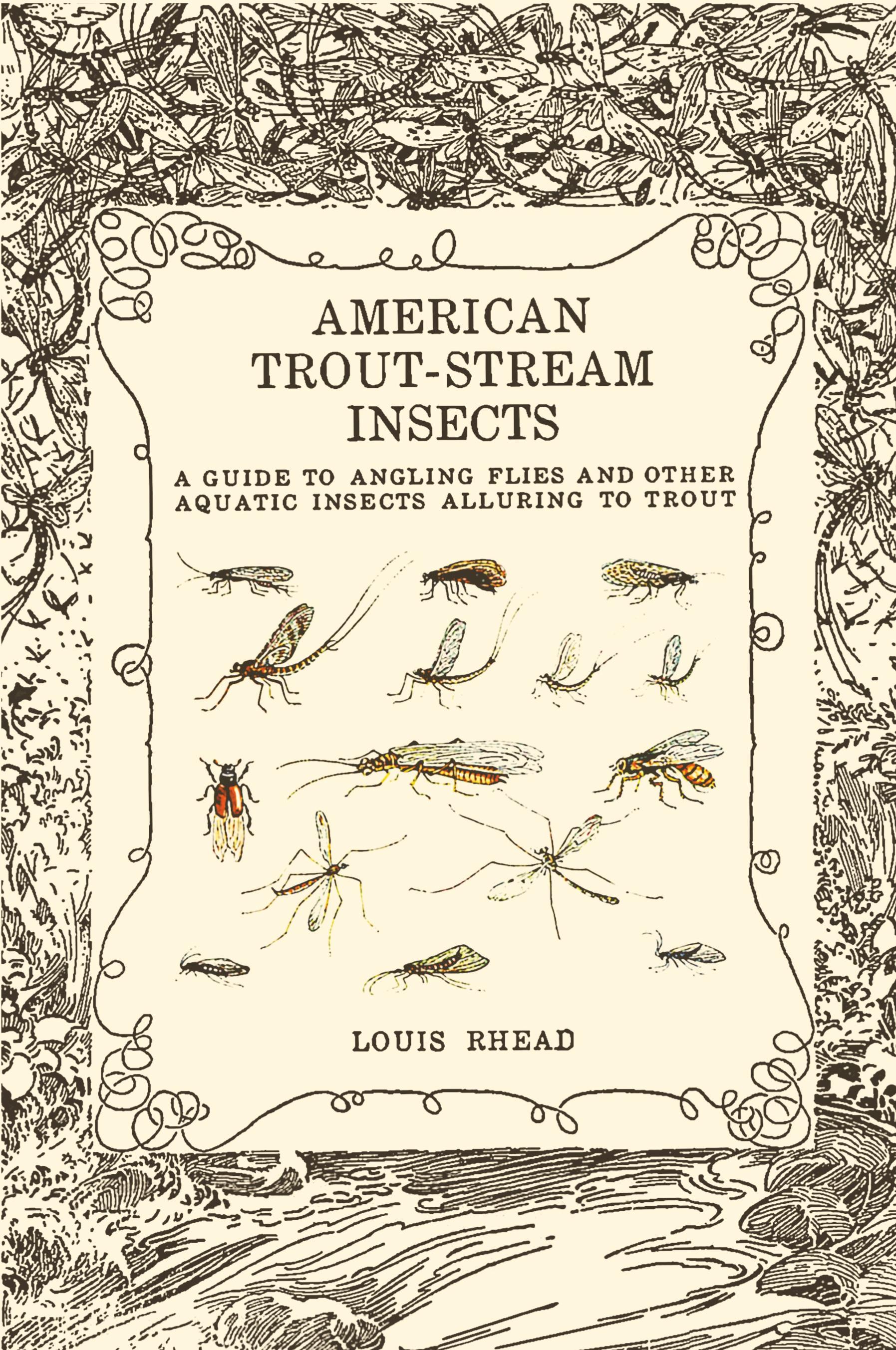 Vorderes Coverbild American Trout Stream Insects