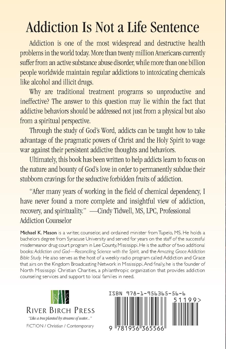 Rückseitencover Addiction & Faith