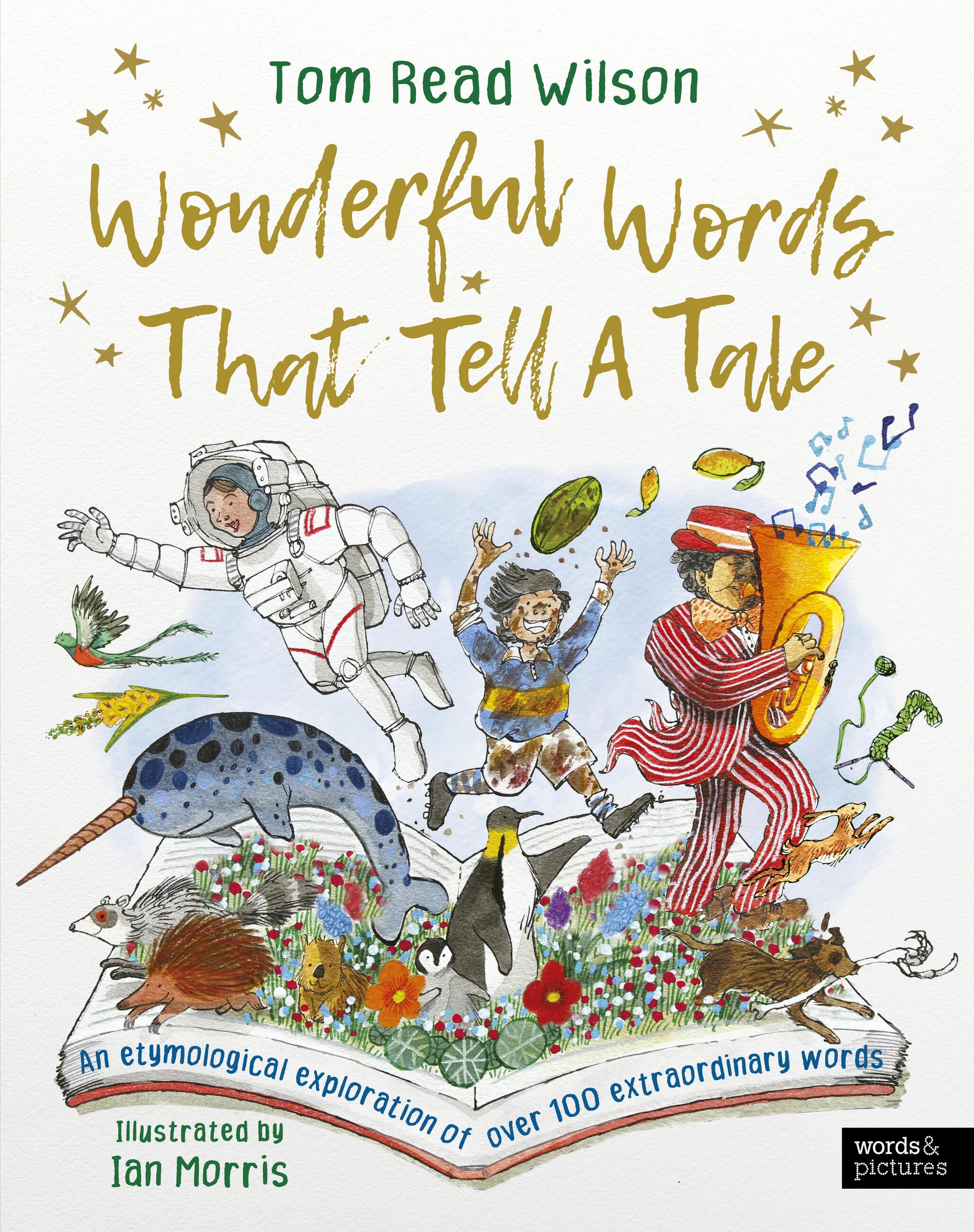 Vorderes Coverbild Wonderful Words That Tell a Tale