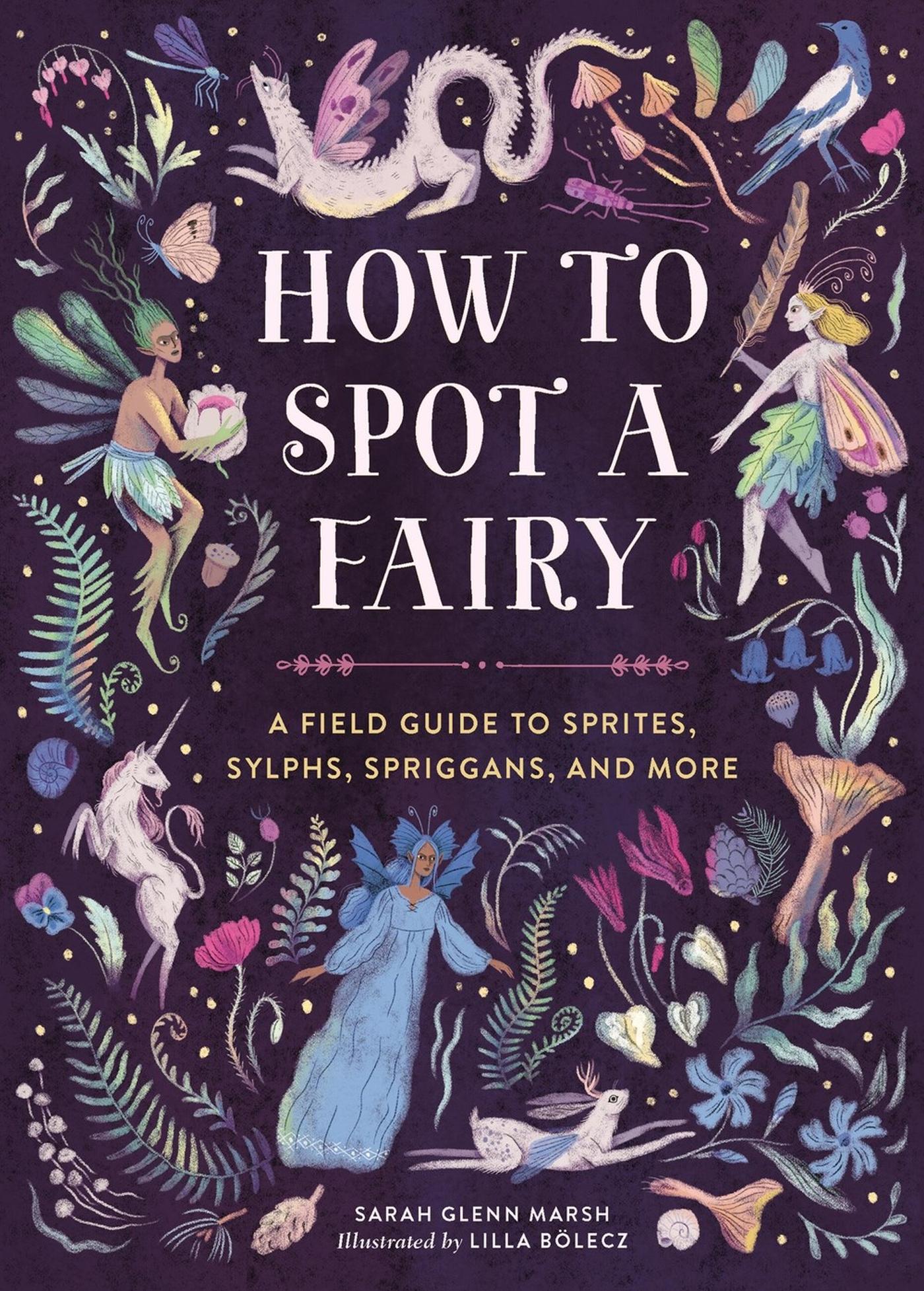 Vorderes Coverbild How to Spot a Fairy