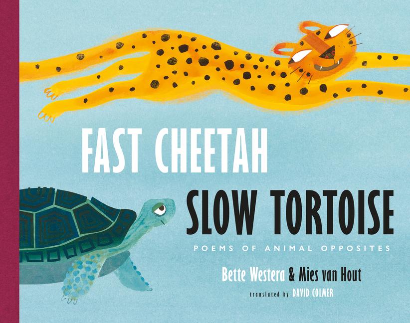 Vorderes Coverbild Fast Cheetah, Slow Tortoise