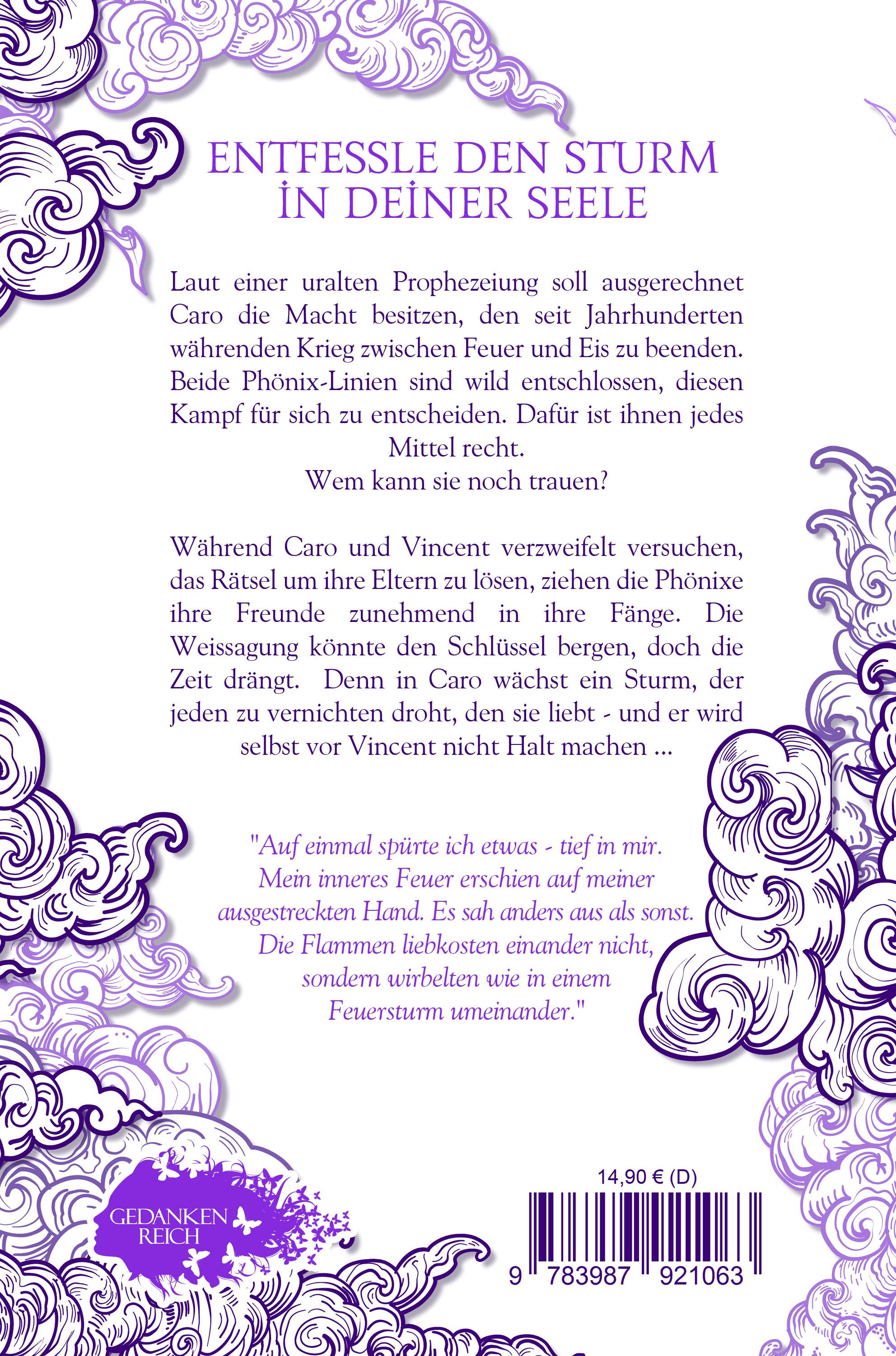 Rückseitencover Sturmphönix