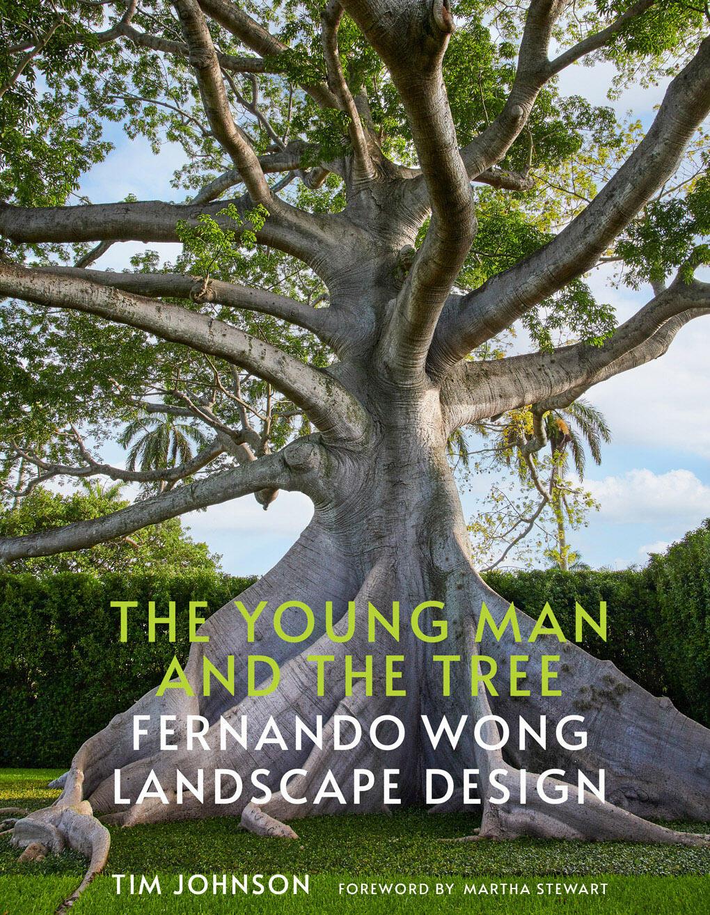 Vorderes Coverbild The Young Man and the Tree