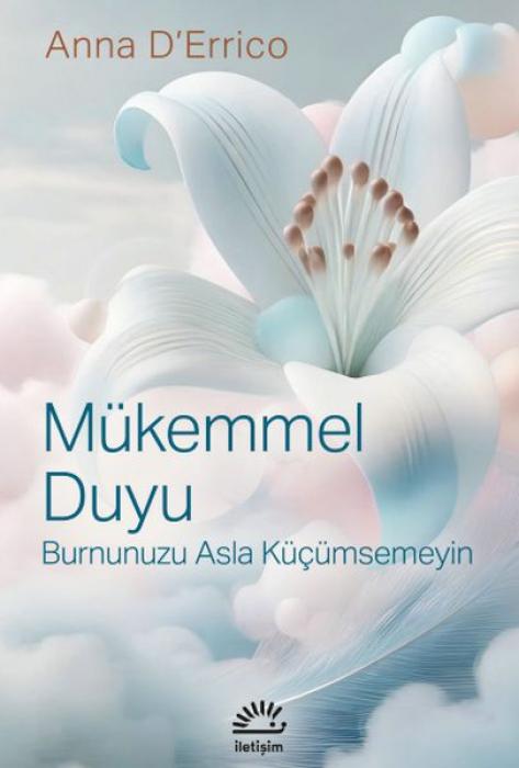 Vorderes Coverbild Mükemmel Duyu
