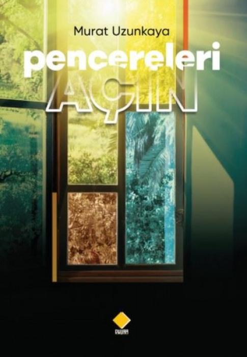 Vorderes Coverbild Pencereleri Acin