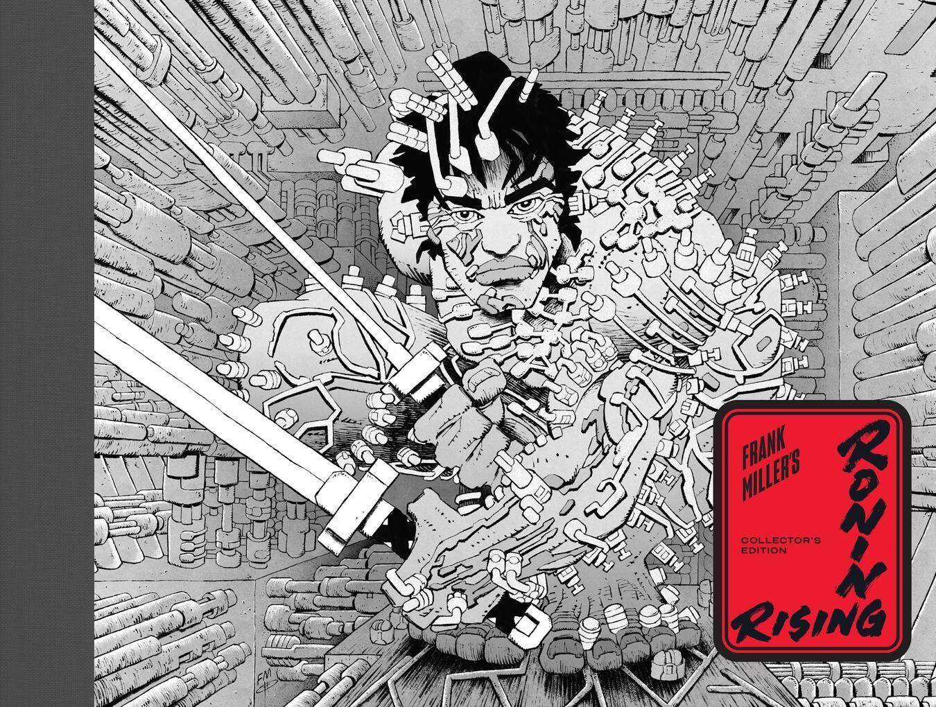 Vorderes Coverbild Frank Miller's Ronin Rising Collector's Edition