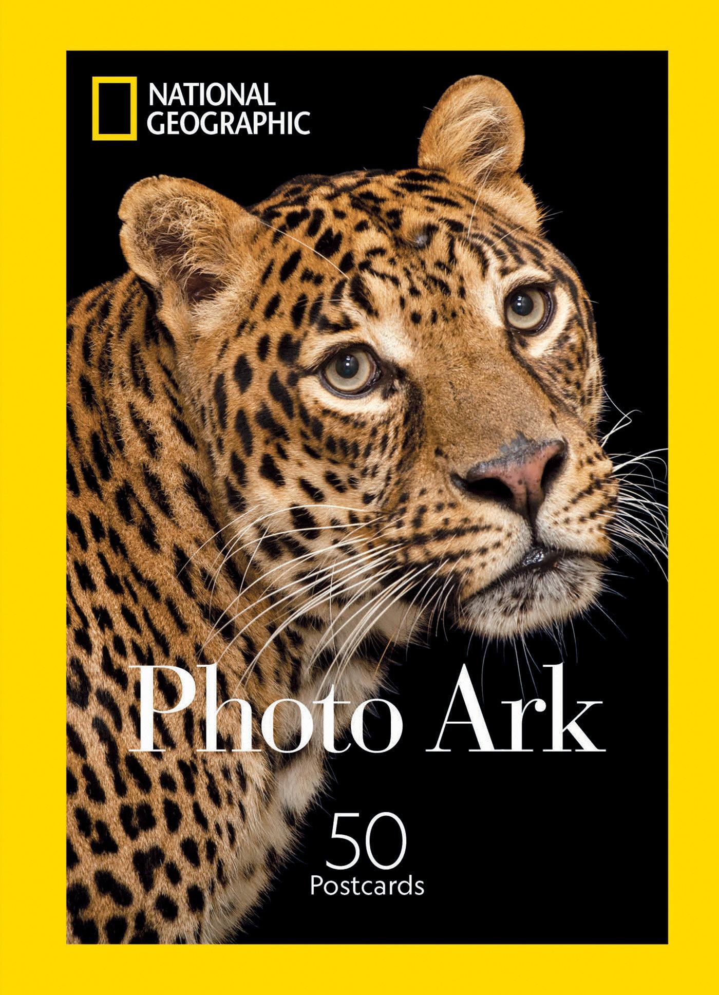 Vorderes Coverbild Photo Ark Postcards