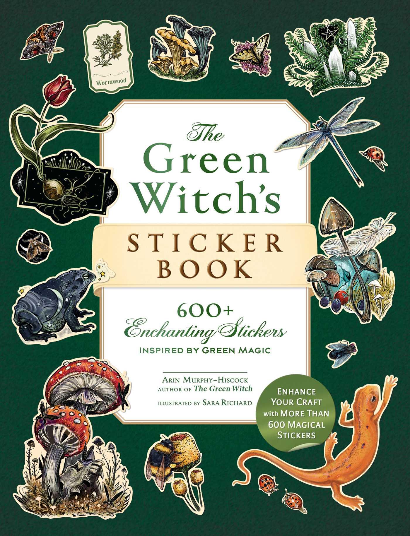 Vorderes Coverbild The Green Witch's Sticker Book