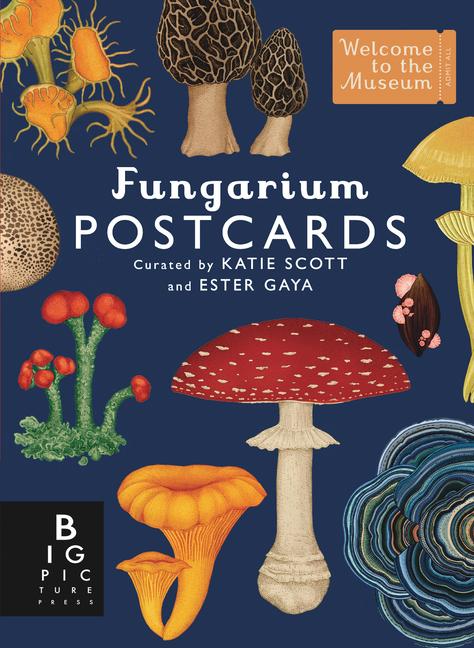 Vorderes Coverbild Fungarium Postcard Box Set
