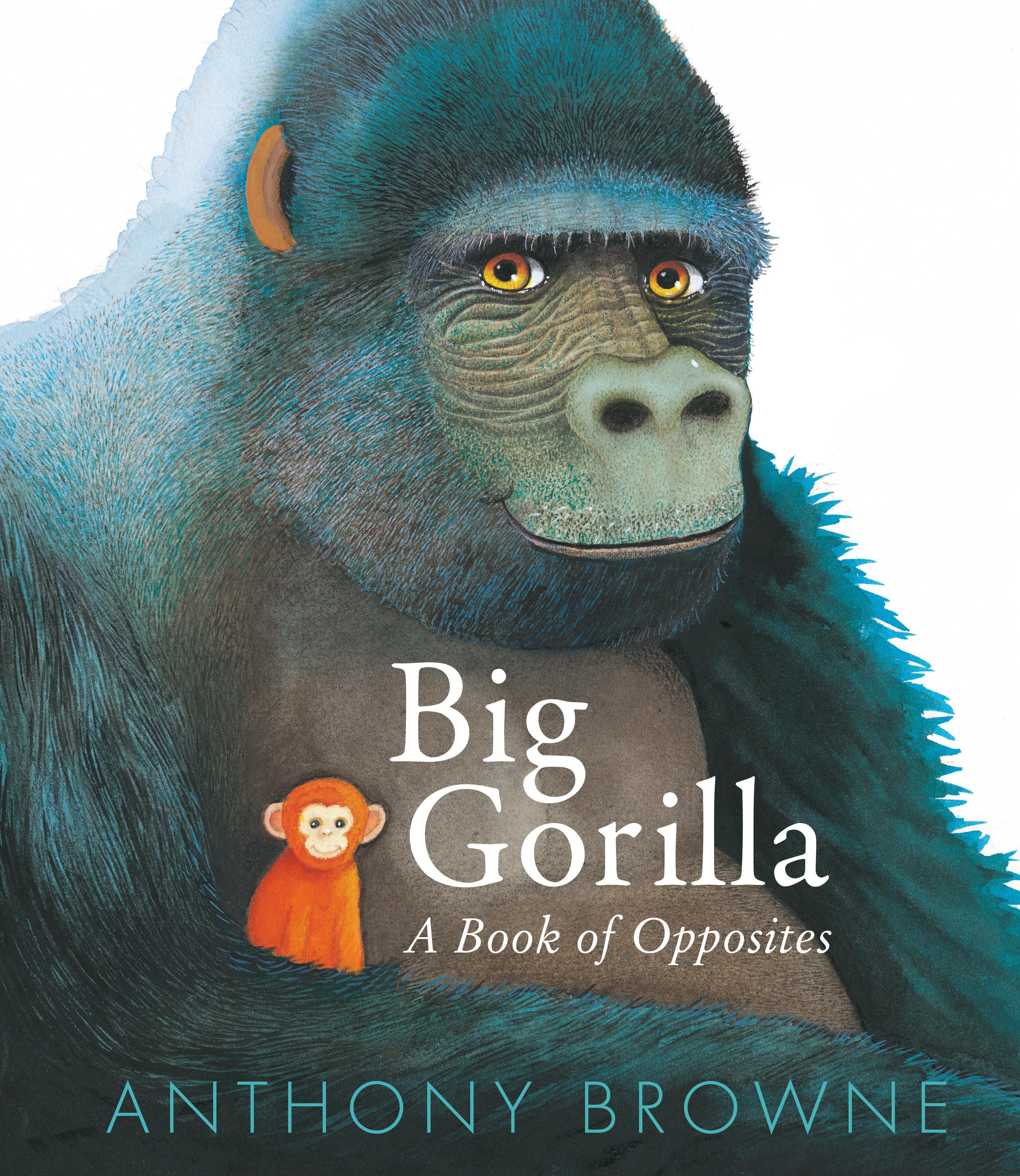Vorderes Coverbild Big Gorilla: A Book of Opposites