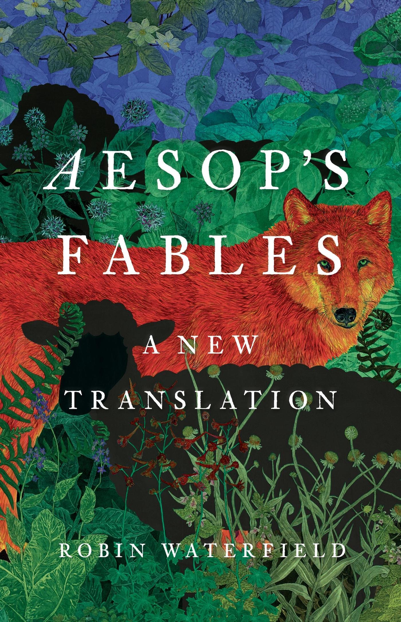 Vorderes Coverbild Aesop's Fables
