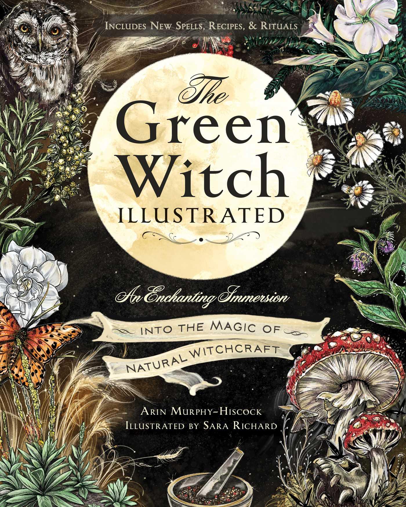 Vorderes Coverbild The Green Witch Illustrated