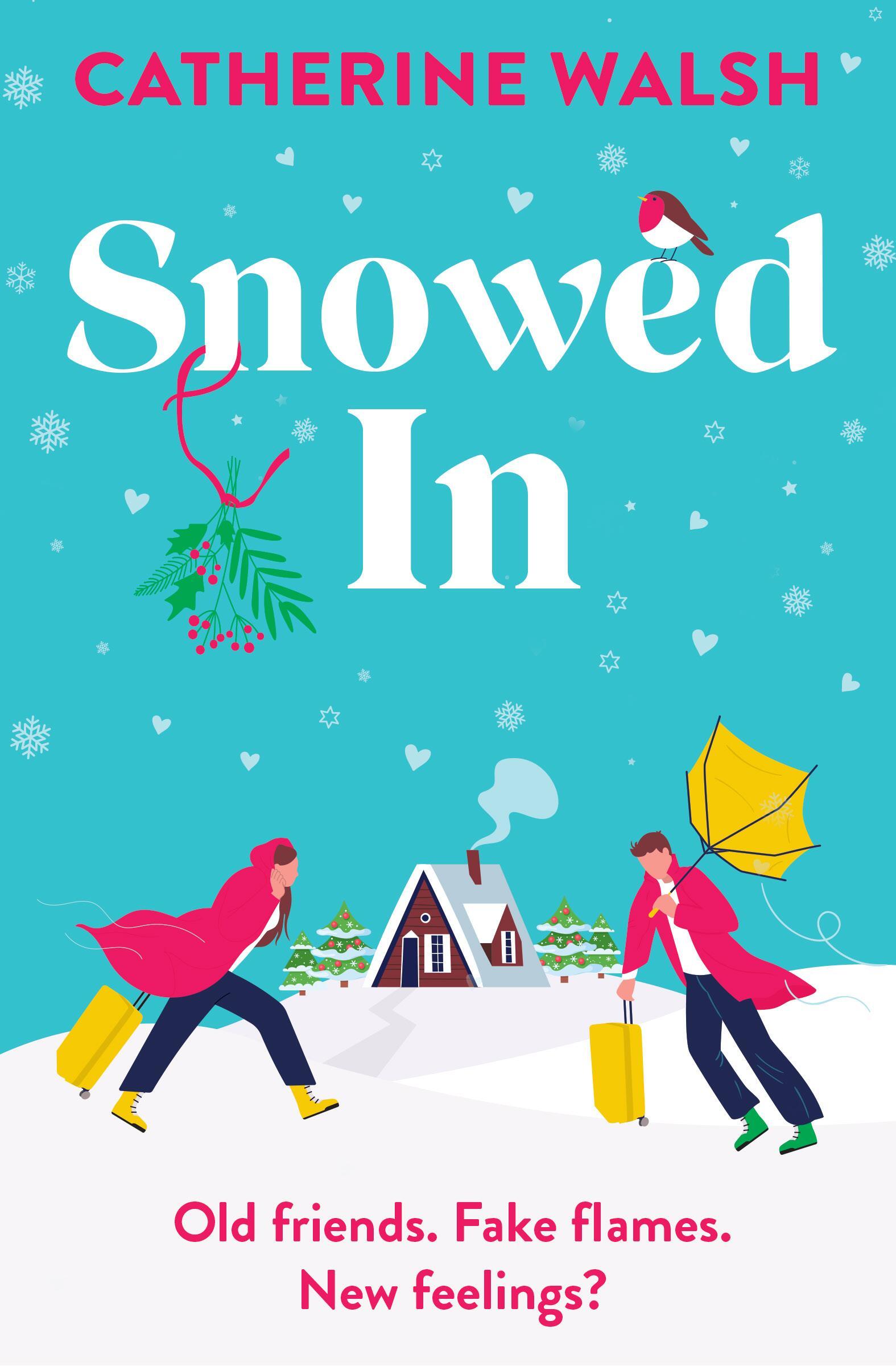 Vorderes Coverbild Snowed in