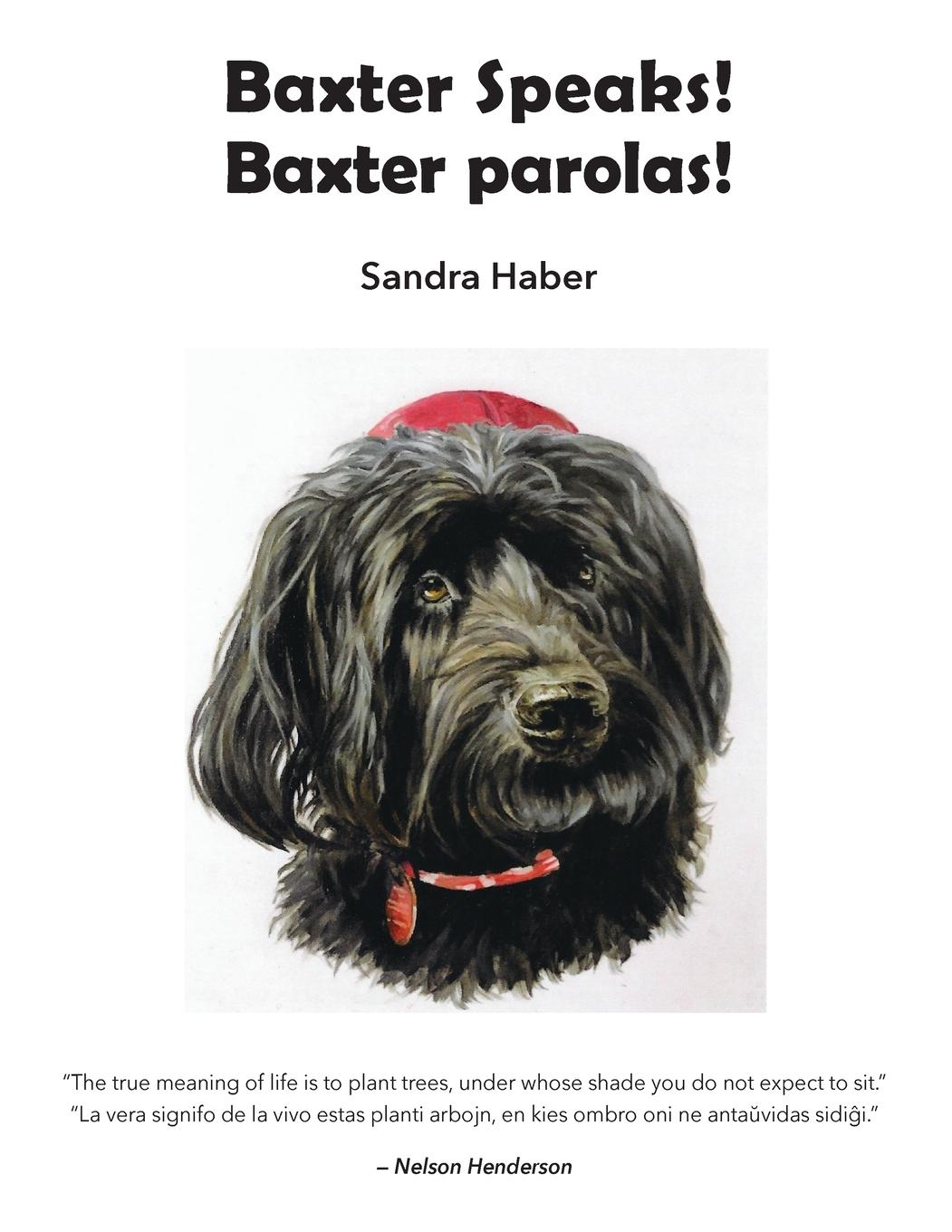 Vorderes Coverbild Baxter Speaks. Baxter parolas.